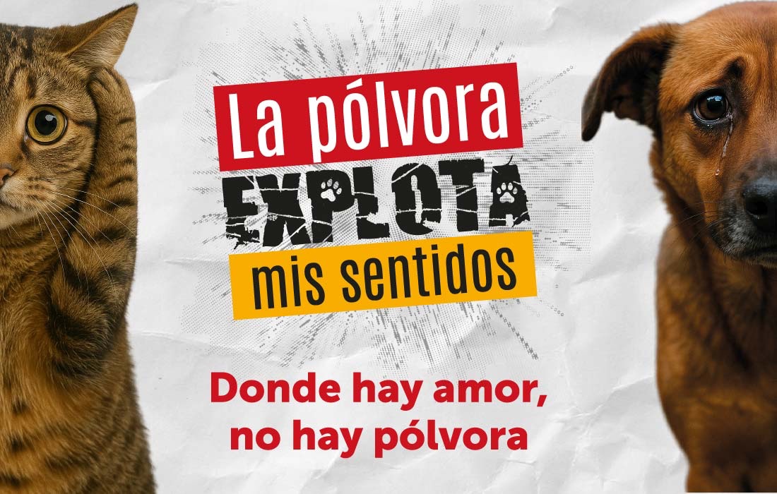 “La Pólvora Explota Mis Sentidos”, campaña del Distrito para sensibilizar sobre los efectos del uso de la pólvora durante las celebraciones decembrinas